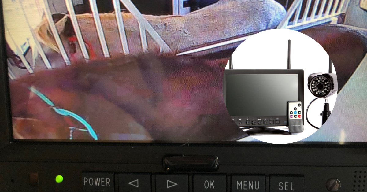 5 Best Horse Trailer Cameras